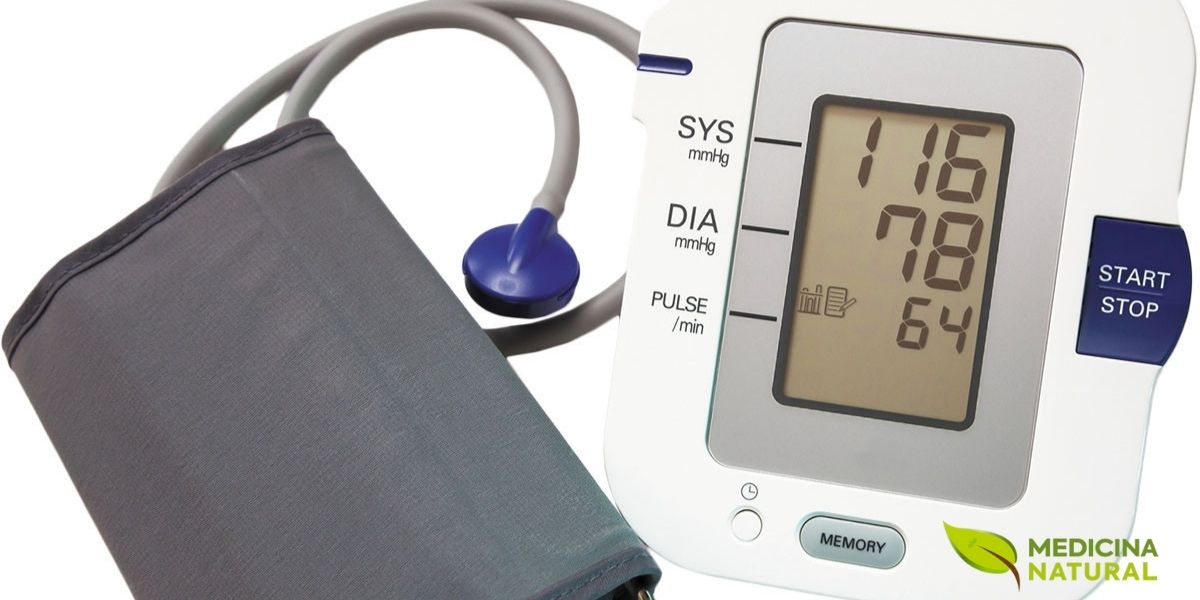 O monitoramento regular da pressão arterial é fundamental para a saúde cardiovascular, e o chá verde pode ser um aliado importante neste aspecto. Estudos clínicos demonstram que o consumo regular de chá verde está associado a reduções modestas mas significativas na pressão arterial sistólica e diastólica. As catequinas do chá verde promovem a produção de óxido nítrico, um composto que relaxa os vasos sanguíneos e melhora o fluxo sanguíneo. Meta-análises indicam que consumir 3-4 xícaras de chá verde diariamente pode reduzir a pressão arterial em 2-3 mmHg, o suficiente para diminuir o risco de eventos cardiovasculares.