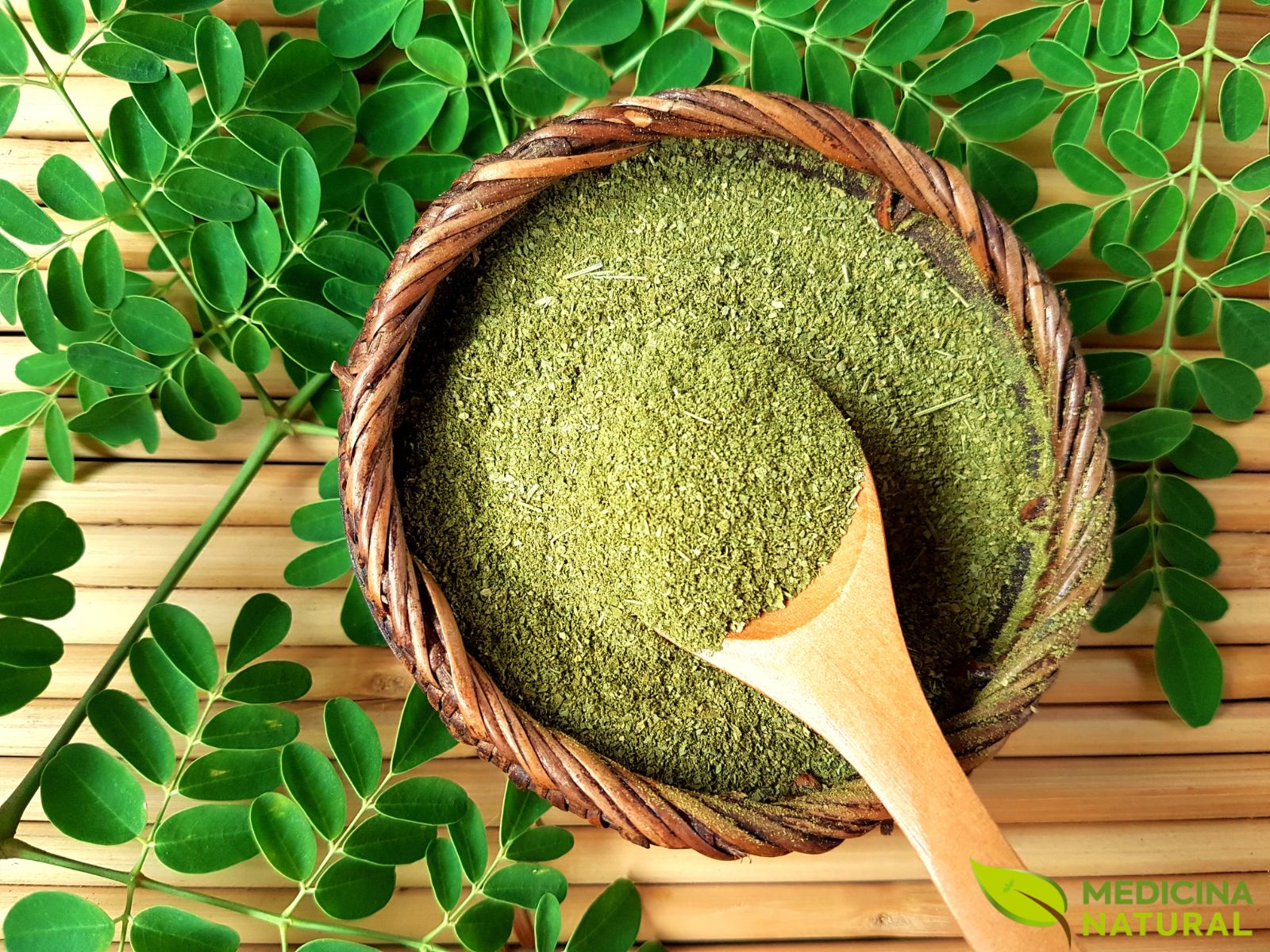 Moringa - Moringa oleifera