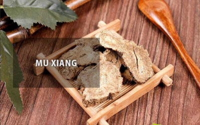 Mu Xiang (costus): saiba para que serve