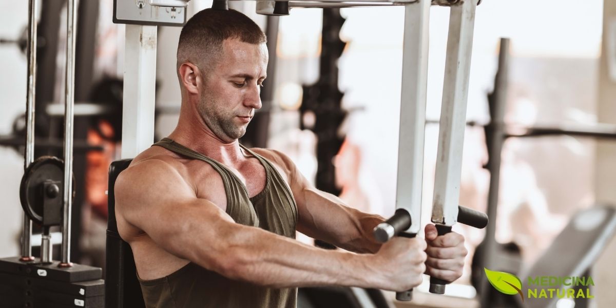 O treino de braços para hipertrofia natural requer volume adequado e progressão de carga. Diferente de atletas que usam esteroides, praticantes naturais precisam respeitar os limites de recuperação do corpo. A suplementação com ashwagandha pode potencializar os ganhos de força e massa muscular nos braços em até 62%, conforme demonstrado em estudos científicos. É essencial combinar exercícios de isolamento (rosca direta, tríceps pulley) com compostos (supino fechado, remada) para desenvolvimento completo dos membros superiores.