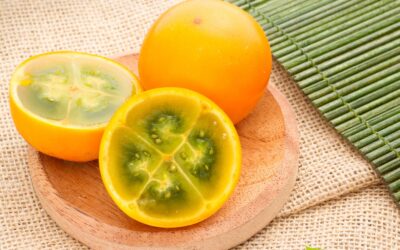 Solanum quitoense – LULO; NARANJILLA