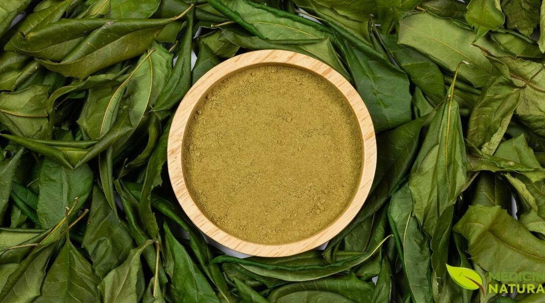 Neem-Indiano: Guia Completo de Benefícios Para a Saúde