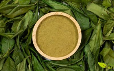 Neem-Indiano: Guia Completo de Benefícios Para a Saúde