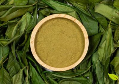 O neem-indiano é uma cultura importante em muitos países, não apenas por seus produtos medicinais, mas também por sua capacidade de reflorestar terras degradadas e melhorar a qualidade do solo, sendo um exemplo de agricultura regenerativa.