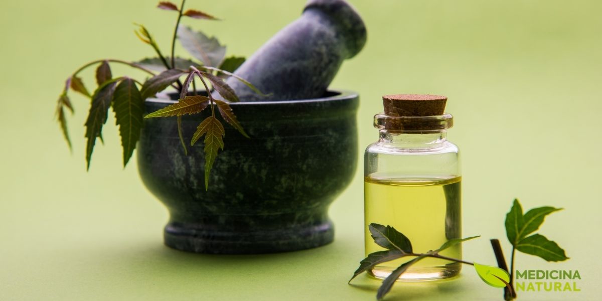 Um frasco de óleo de neem puro, com seu característico tom dourado e um conta-gotas pronto para uso. Este óleo é um tesouro de benefícios, rico em ácidos graxos e vitamina E. É amplamente utilizado em produtos para a pele e cabelo, tratando desde acne e eczema até caspa, além de ser um eficaz repelente de insetos e pesticida natural.