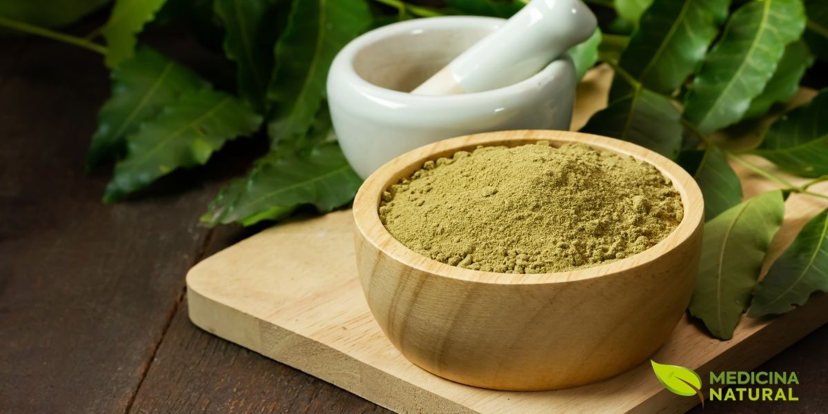 Pó fino e verde, feito a partir de folhas de Neem secas e moídas. Esta é uma forma popular de consumir o Neem internamente ou de usá-lo em máscaras faciais e capilares. O pó concentra os benefícios das folhas, oferecendo uma maneira prática de incorporar as propriedades desintoxicantes e anti-inflamatórias da planta na rotina diária.