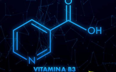 Niacina (vitamina B3): para que serve