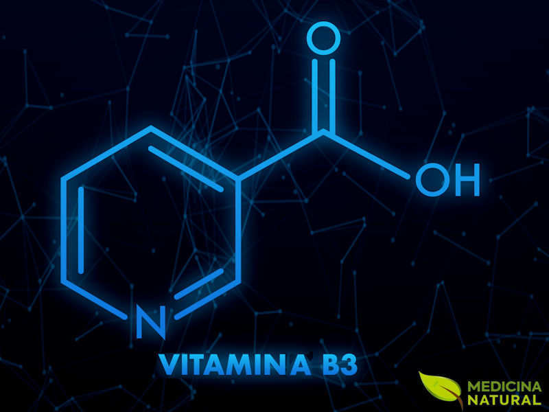Niacina (vitamina B3): para que serve