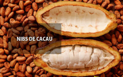 Nibs de cacau: um super alimento