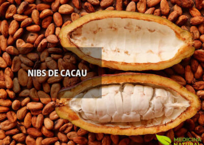 Nibs de cacau