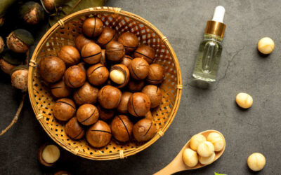 Noz-da-macadâmia: saiba para que serve