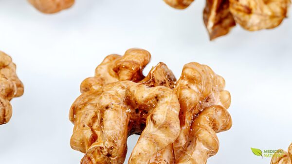 Noz - Juglans regia