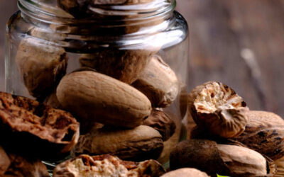 Noz-moscada: saiba para que serve