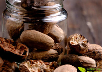 Noz-moscada - Myristica fragrans