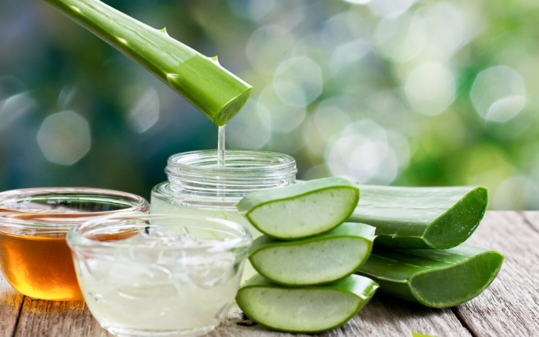 Óleo de Aloe vera: saiba para que serve