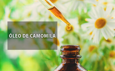 Óleo de camomila: efeitos e propriedades