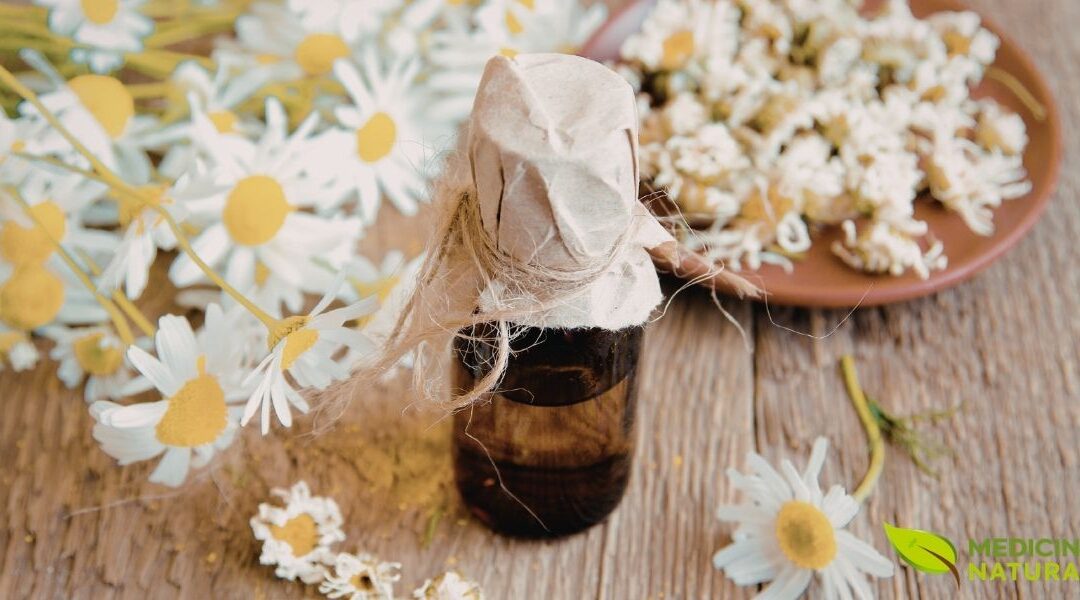 Óleo de Camomila: Calmante Natural para Ansiedade e Insônia