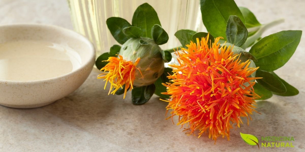 O óleo de cártamo é um aliado versátil na busca por uma vida mais saudável. Extraído das sementes da planta Carthamus tinctorius, ele é rico em ácidos graxos essenciais, que contribuem para a saúde do coração e o controle do colesterol.