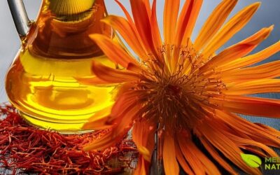 Óleo de Cártamo: Para Que Serve, Benefícios e Emagrecimento