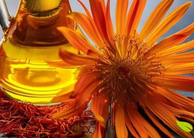 O óleo de cártamo, extraído a frio de suas sementes, é uma alternativa saudável para o preparo de alimentos. Rico em gorduras mono e poli-insaturadas, ele contribui para a saúde do coração e pode ser um substituto inteligente para óleos menos benéficos, agregando valor nutricional e sabor suave às refeições.