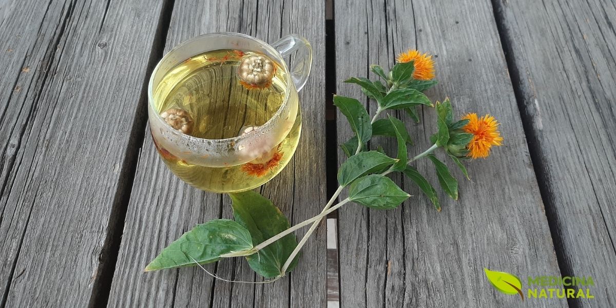 Uma garrafa de vidro com óleo de cártamo dourado ao lado de uma flor de cártamo laranja vibrante e seus estigmas secos, conhecidos como açafrão-bastardo. A imagem evoca a origem natural e a riqueza do óleo, destacando sua cor intensa e a beleza da planta que lhe dá origem, em um fundo escuro que realça os tons quentes.