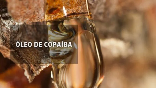 Óleo de Copaíba