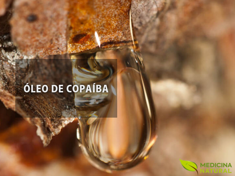 Óleo de copaíba: saiba para que serve