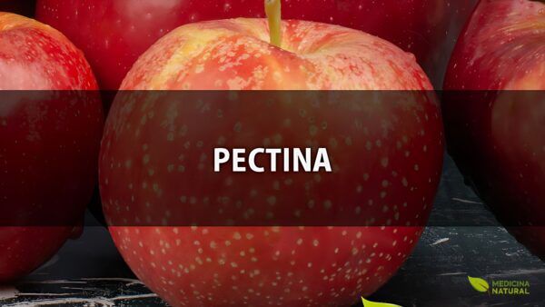 Pectina