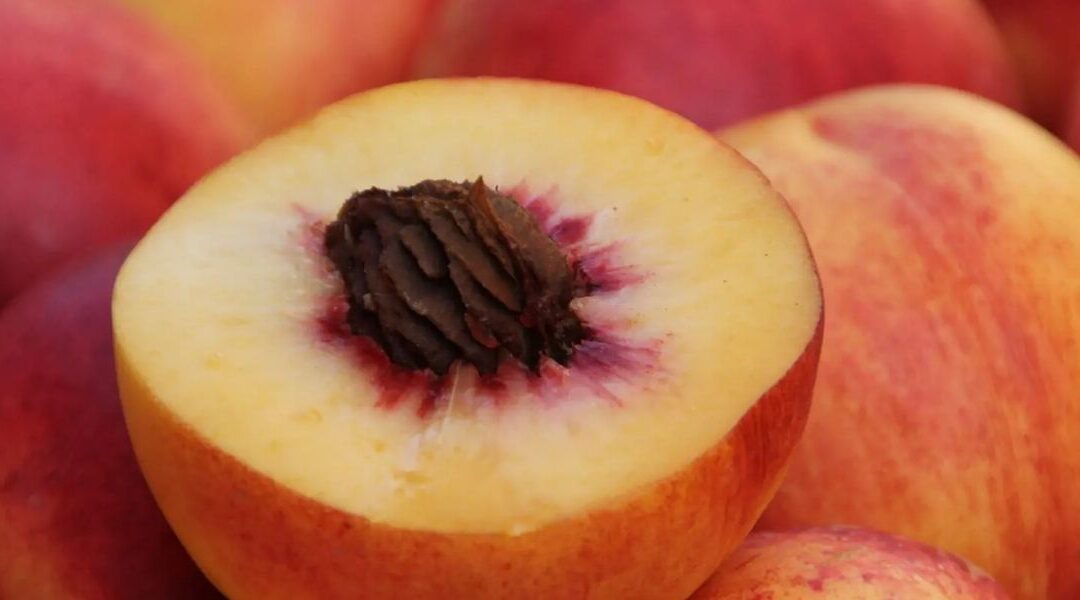 Pêssego na Medicina Natural: Benefícios Incríveis da Fruta