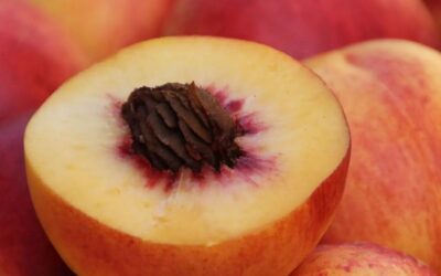 Pêssego na Medicina Natural: Benefícios Incríveis da Fruta