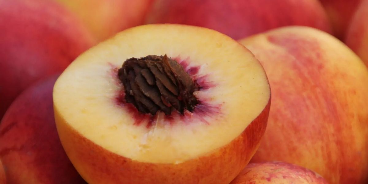 Um pêssego cortado ao meio, revelando sua polpa amarela e suculenta e o caroço central. Um pêssego cortado ao meio, revelando sua polpa amarela e suculenta e o caroço central.