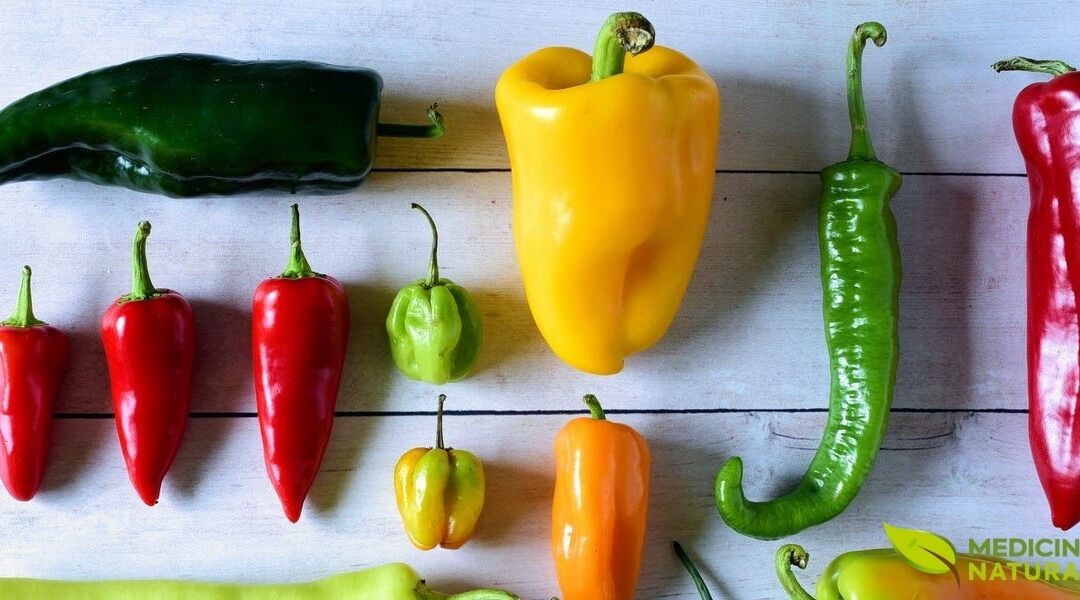 Pimentas Medicinais: Benefícios e Propriedades Científicas