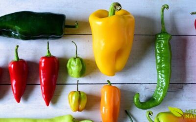 Pimentas Medicinais: Benefícios e Propriedades Científicas