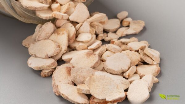 Tubérculos secos de Pinellia ternata (Ban Xia) usados na medicina tradicional chinesa