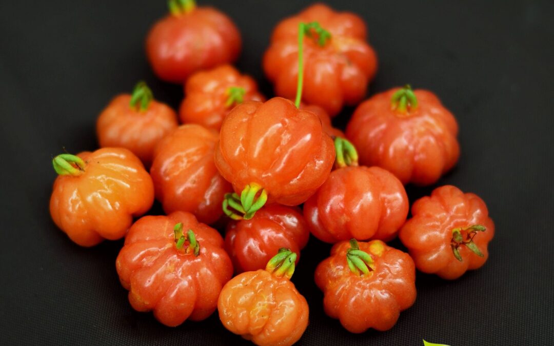 Pitanga: veja os benefícios da fruta