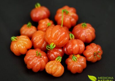 Pitanga - Eugenia uniflora