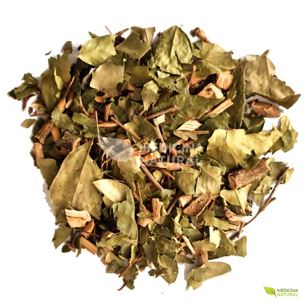 Chá de Pitanga - Eugenia uniflora - Medicina Natural