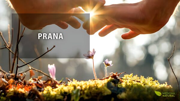 Prana: energia vital