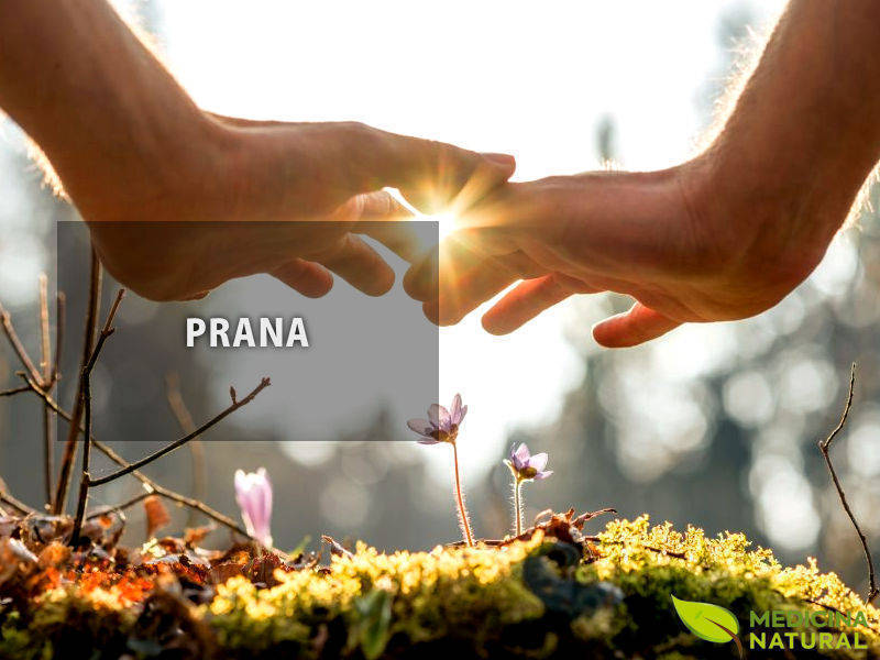 Prana: energia vital