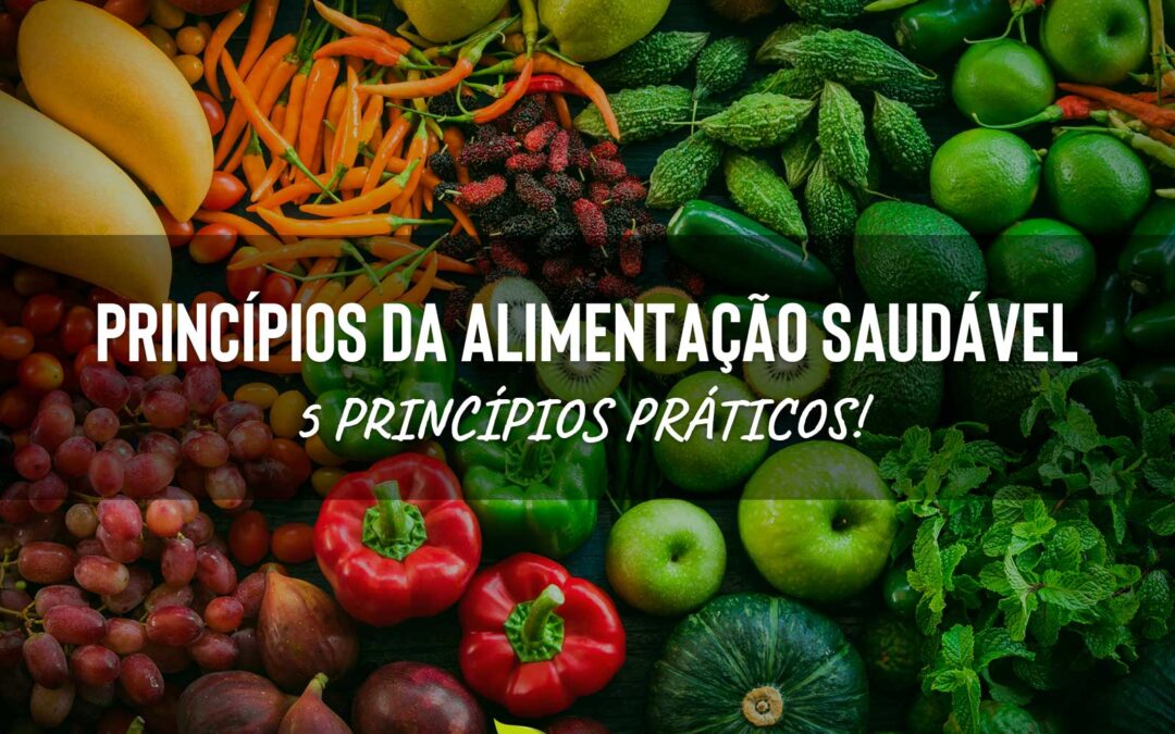 Princípios da Alimentação Saudável