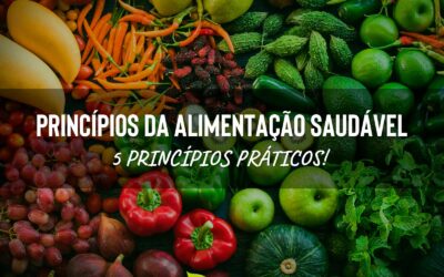 Princípios da Alimentação Saudável