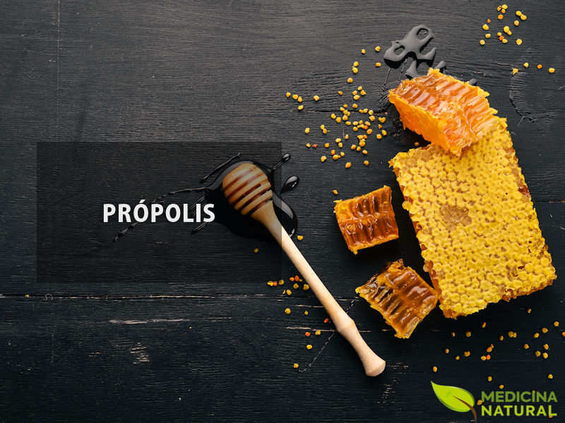 Própolis