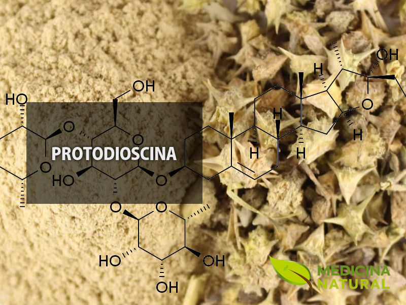 Protodioscina do Tribulus terrestris