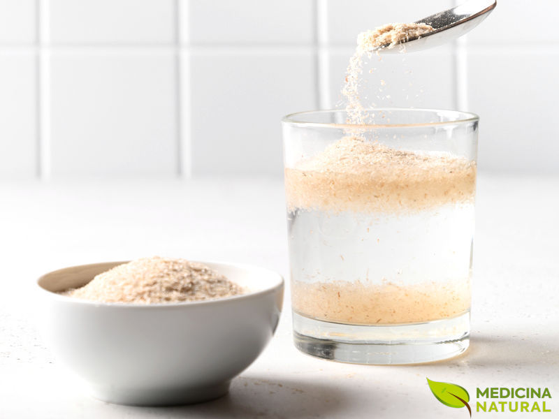 Fibra de psyllium