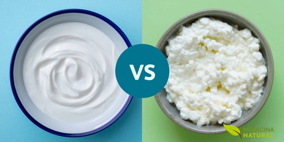 Tanto o queijo cottage quanto o iogurte grego são fontes concentradas de proteína de alta qualidade, ideais para quem busca aumentar a ingestão proteica para suportar a síntese de albumina. Esses laticínios são ricos em aminoácidos essenciais e podem ser facilmente incorporados em refeições e lanches ao longo do dia. Fonte: Verywell Health.