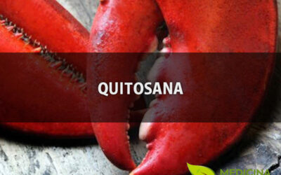 Quitosana emagrece? Saiba como usar