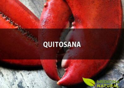 Quitosana