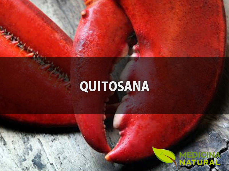 Quitosana