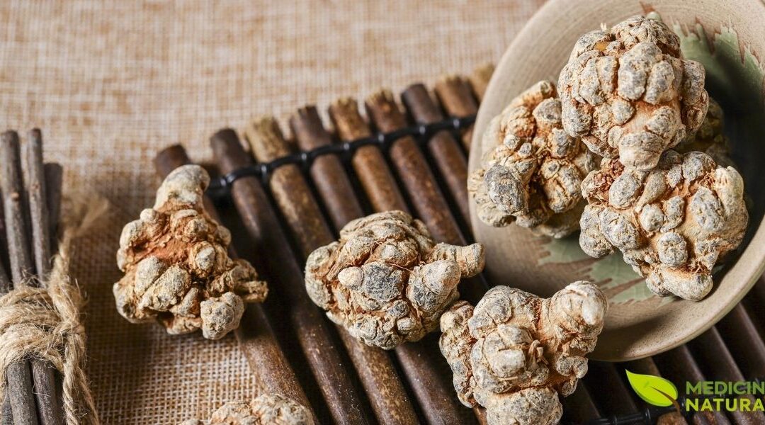 Ginseng-de-Tien-Chi: A Raiz Milagrosa Para o Coração