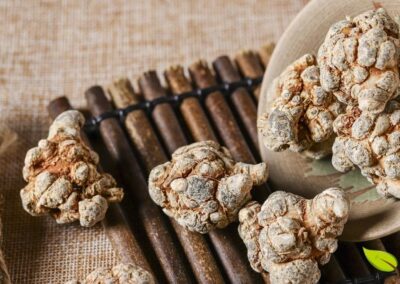 Raiz de ginseng-de-tien-chi (Panax notoginseng) fatiada e seca, pronta para uso em preparações da medicina tradicional chinesa. A raiz é a parte mais valiosa da planta, concentrando saponinas e ginsenosídeos responsáveis por seus potentes efeitos na circulação sanguínea e saúde cardiovascular. O processo de secagem e fatiamento prepara a raiz para ser usada em chás, pós ou extratos.